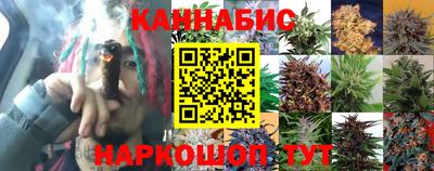 герыч Пенза
