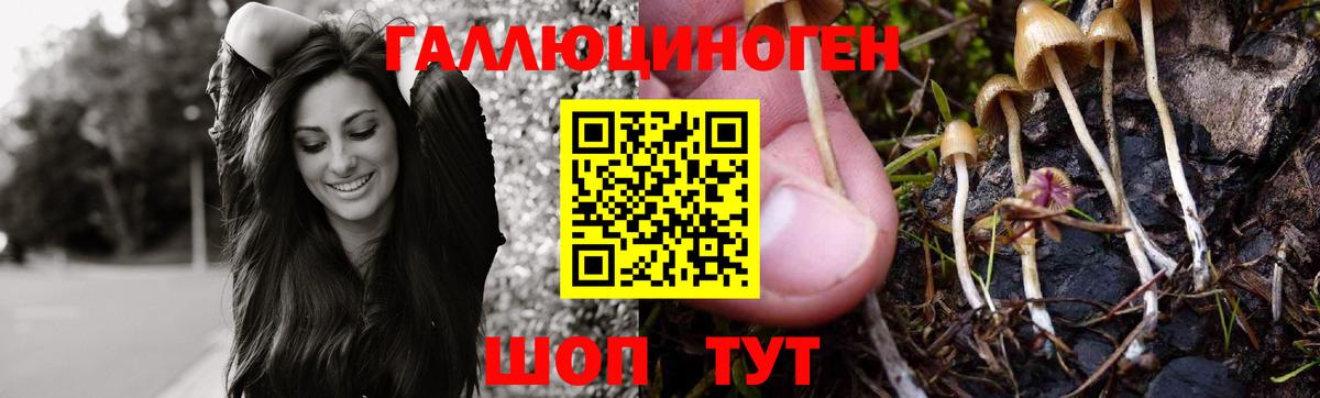 что такое   Псилоцибиновые грибы ЛСД  Вход с VPN  Новоуральск 